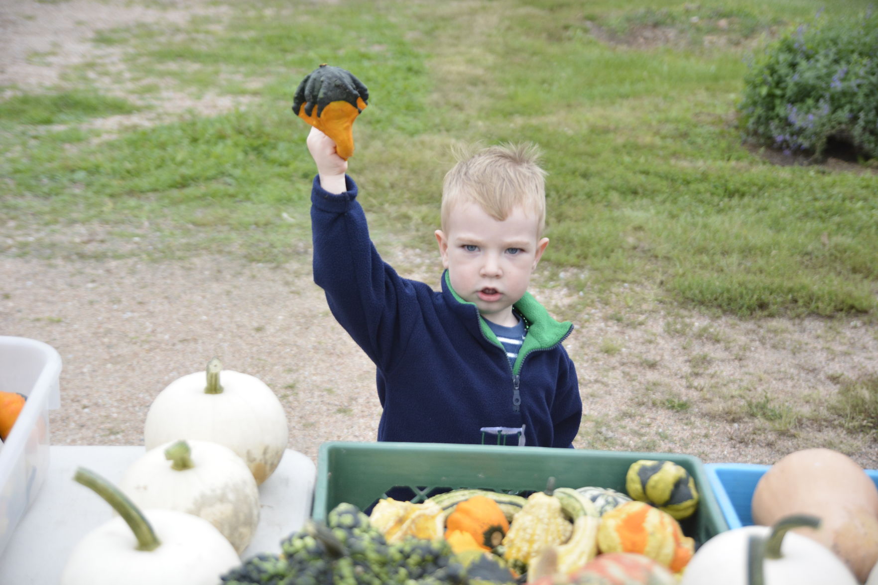 10-6-19 Prairie Loft HarvestFest (50).JPG